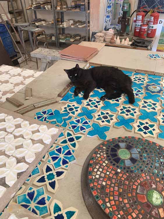 0CB55656-E9E7-4550-96C7-E7B983198F96